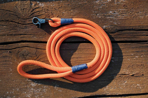 Orange Dog Leash - Hyperion Handmade Camera Straps